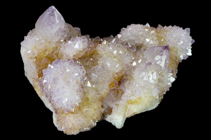 Cactus Quartz (Amethyst) Crystal Cluster - South Africa #137793